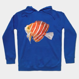 Watercolor Striped Angelfish Hoodie